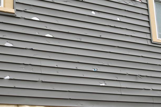 Best Yard Waste Removal  in Brockway, PA